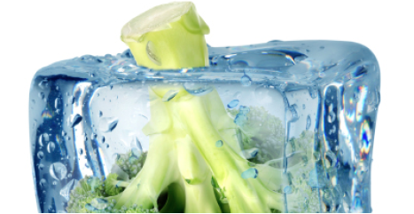 Broccoli embedded in ice