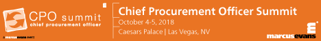 Chief Procurement Officer Summit banner ad
